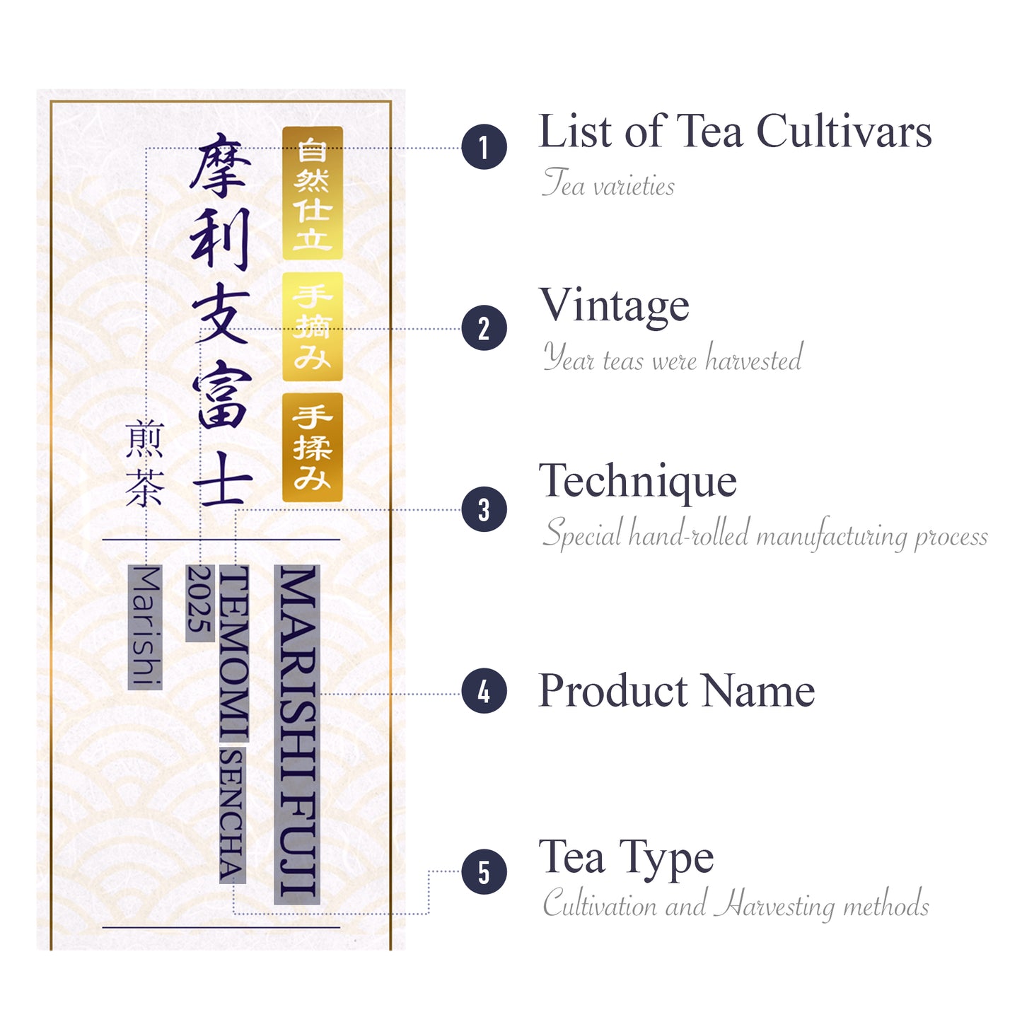 “Marishi Fuji” Temomicha (Hand-Rolled Japanese Tea) (JAS-Certified Japanese Organic)