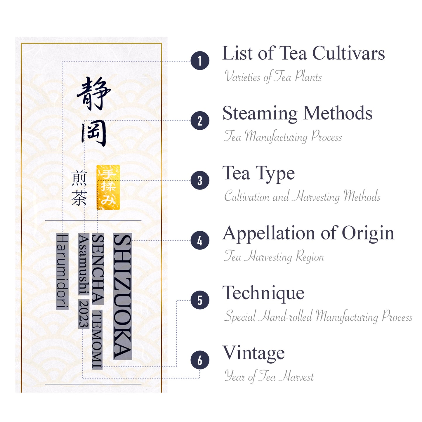 Shizuoka Organic Temomi Sencha 2023