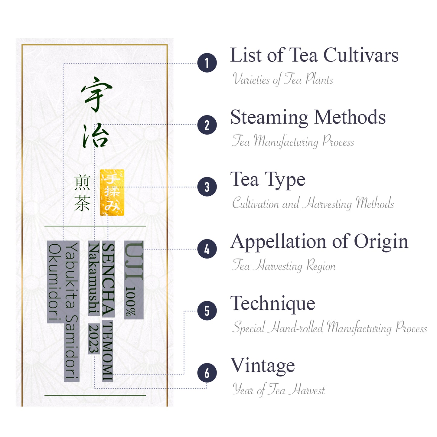 Uji Organic Temomi Sencha 2023