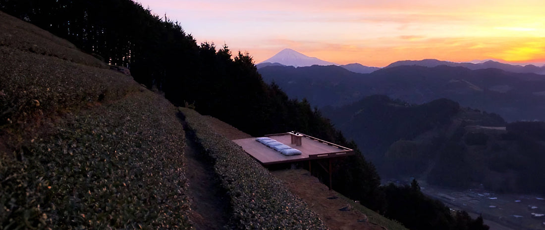 Tea Meditation: Nurture Your Mind and Well-Being