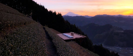 Tea Meditation: Nurture Your Mind and Well-Being