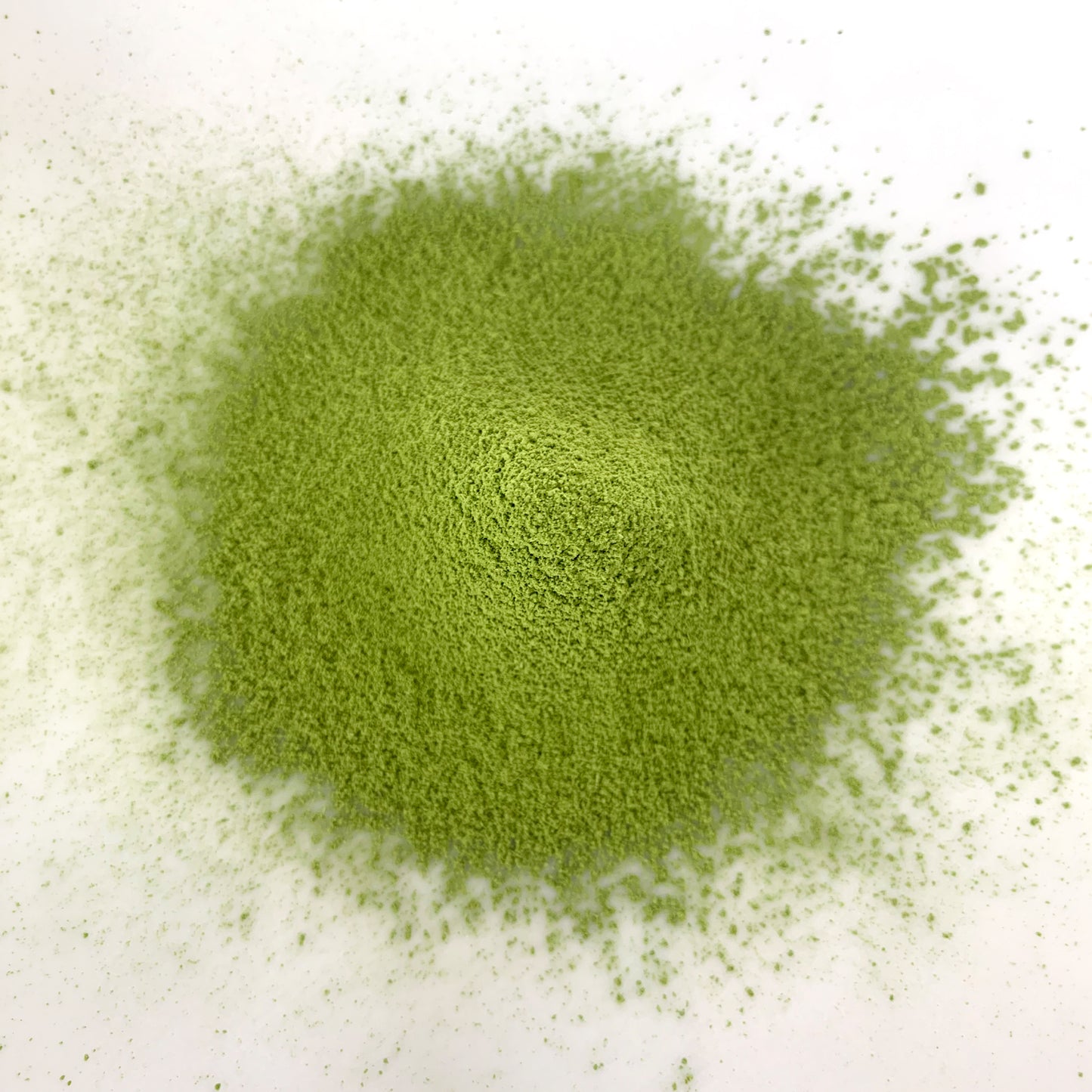 【NOM-6-TY】＄２５０/ｋｇ