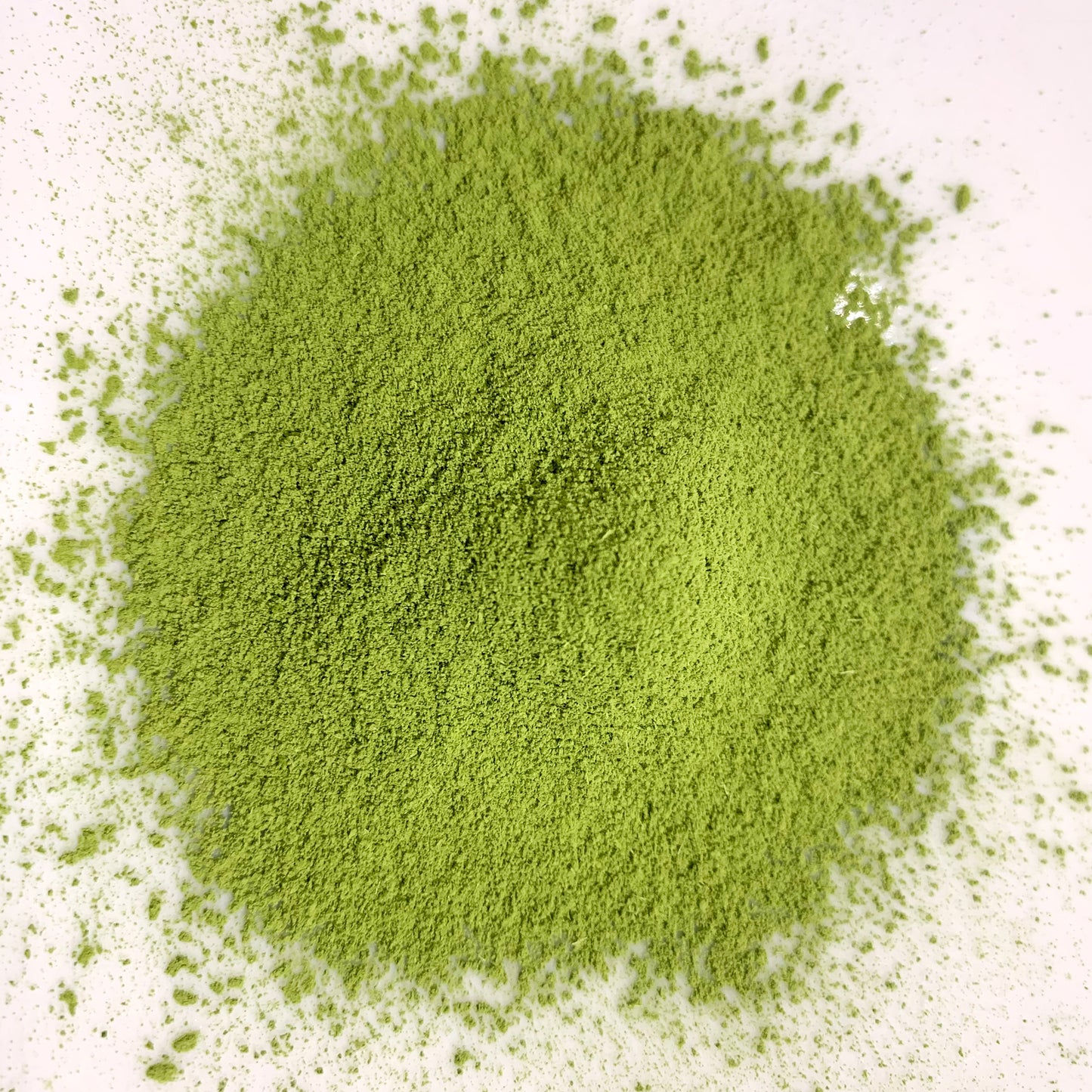 【NOM-6-TSKU】＄２００/ｋｇ
