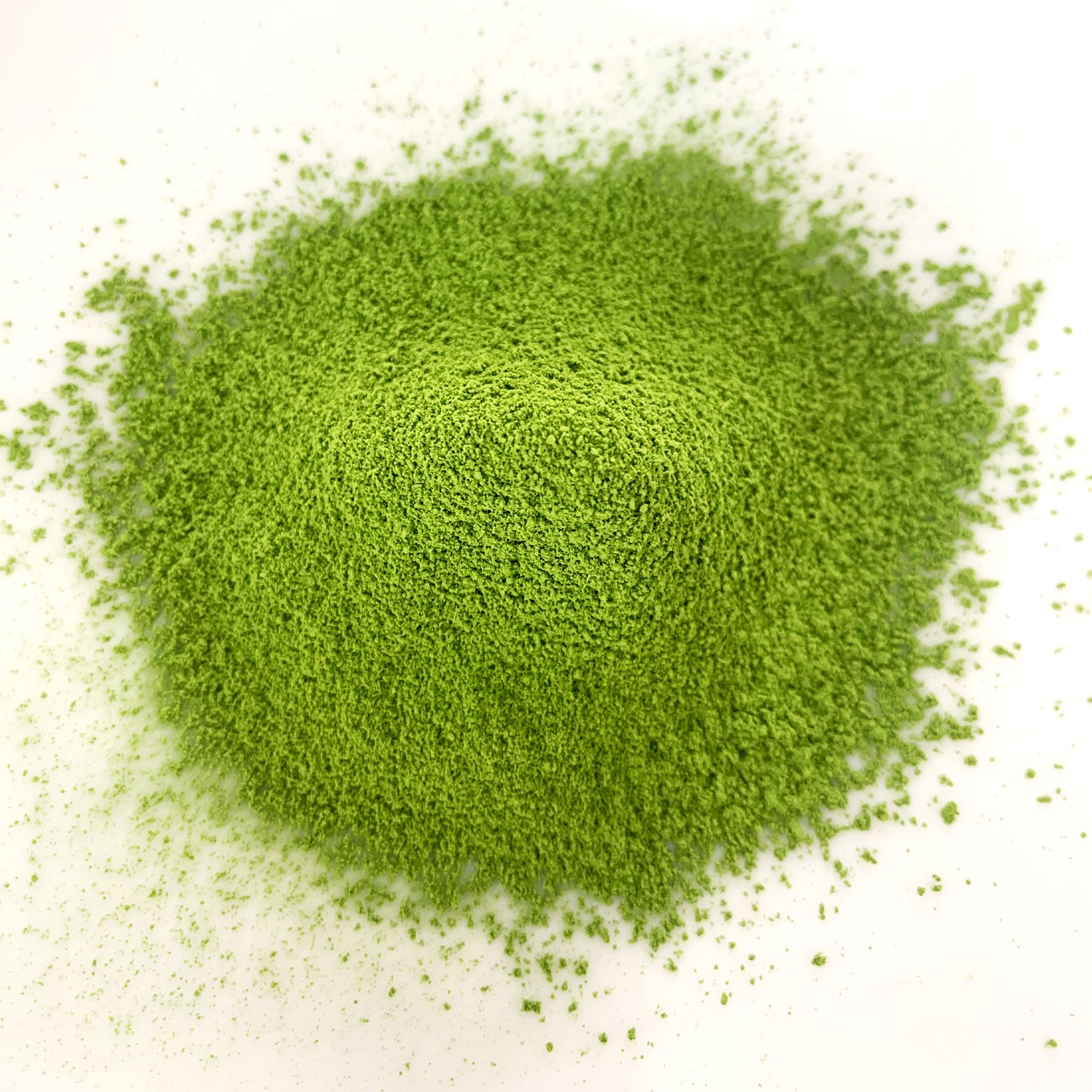 【NOM-2-TU】＄５７０/ｋｇ