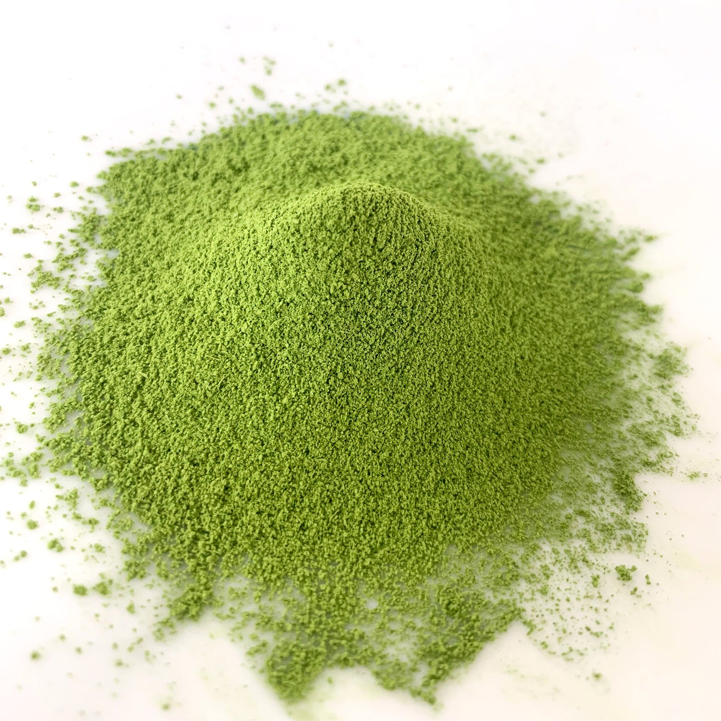【NOM-3-TU】＄５７０/ｋｇ