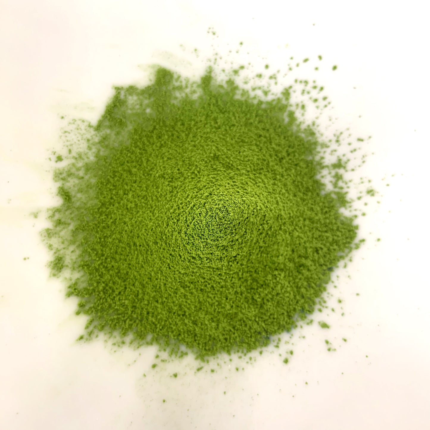 【NOM-3-TU】＄５７０/ｋｇ