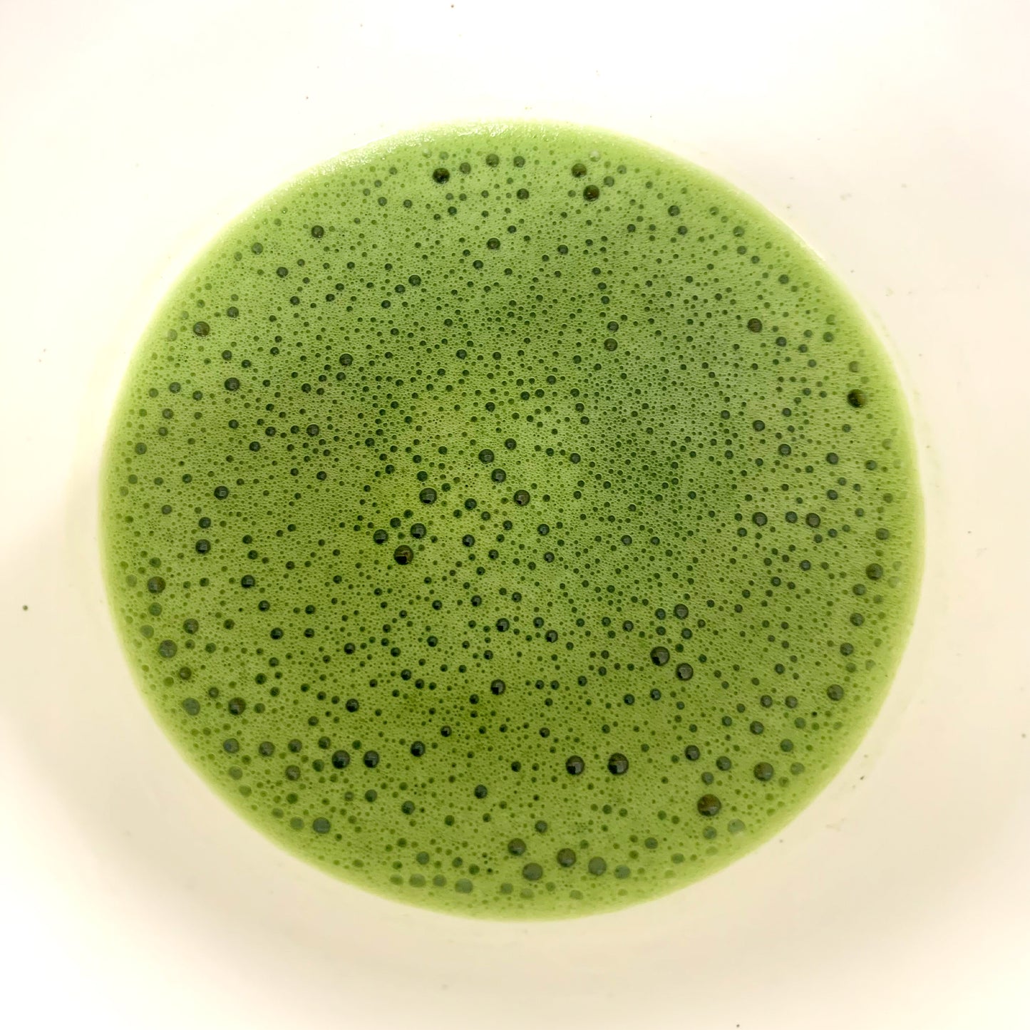 【NOM-4-TU】＄４００/ｋｇ