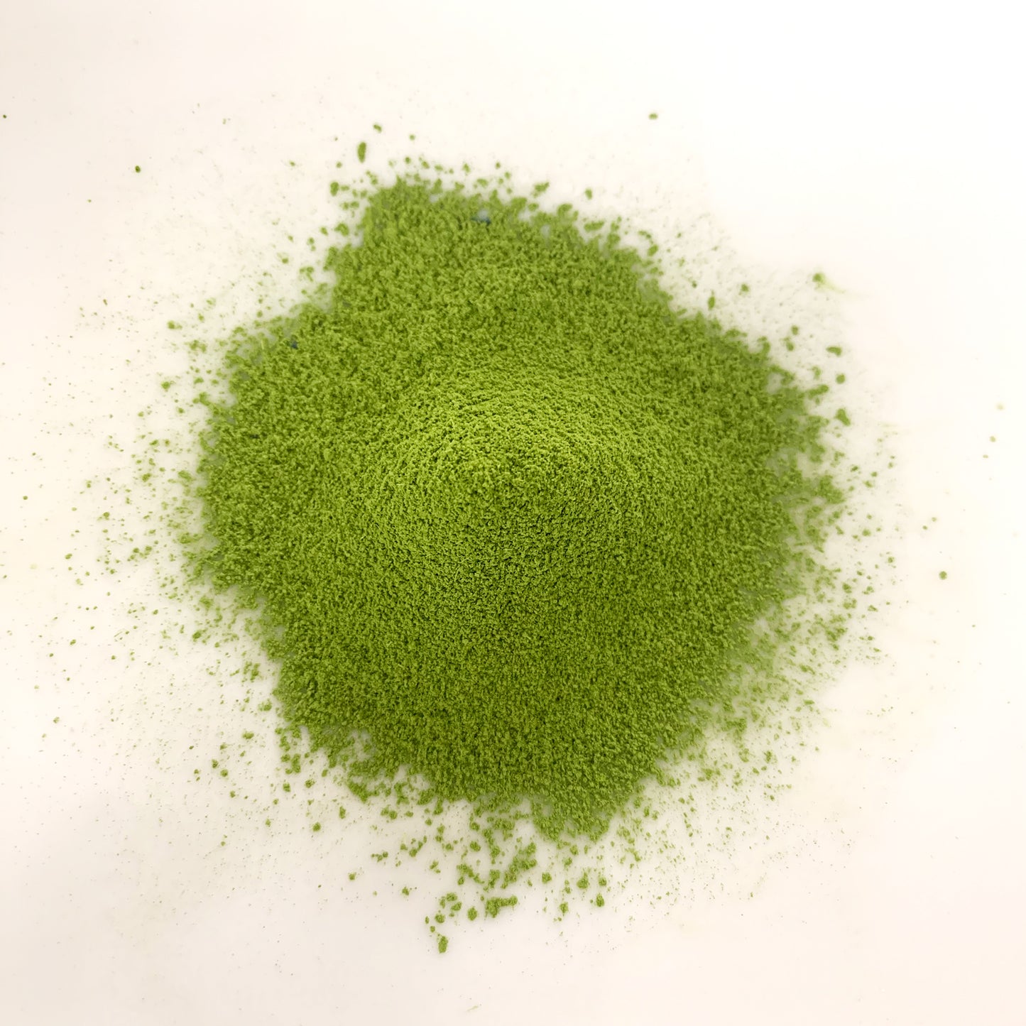 【NOM-4-TU】＄４００/ｋｇ