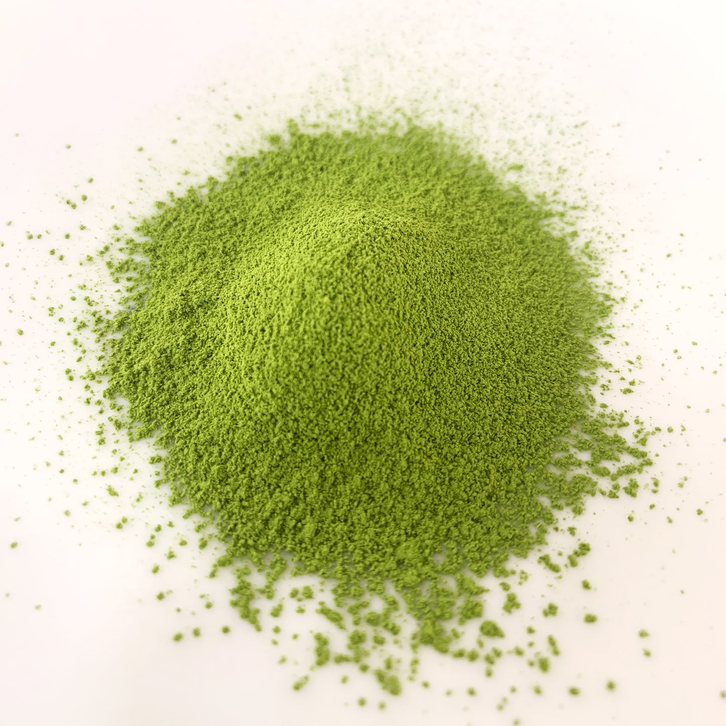 【NOM-5-TU】＄３６０/ｋｇ
